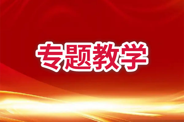 专题教学