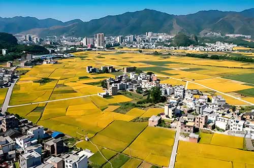 西柏坡精神引领高质量发展：以“赶考”姿态书写绿色转型与法治护航新篇章