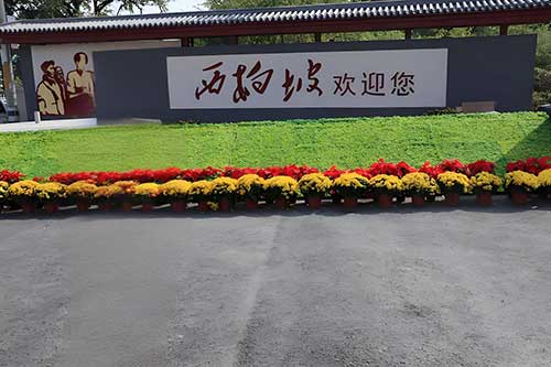 西柏坡红色教育基地：激活基层党建的“红色引擎”