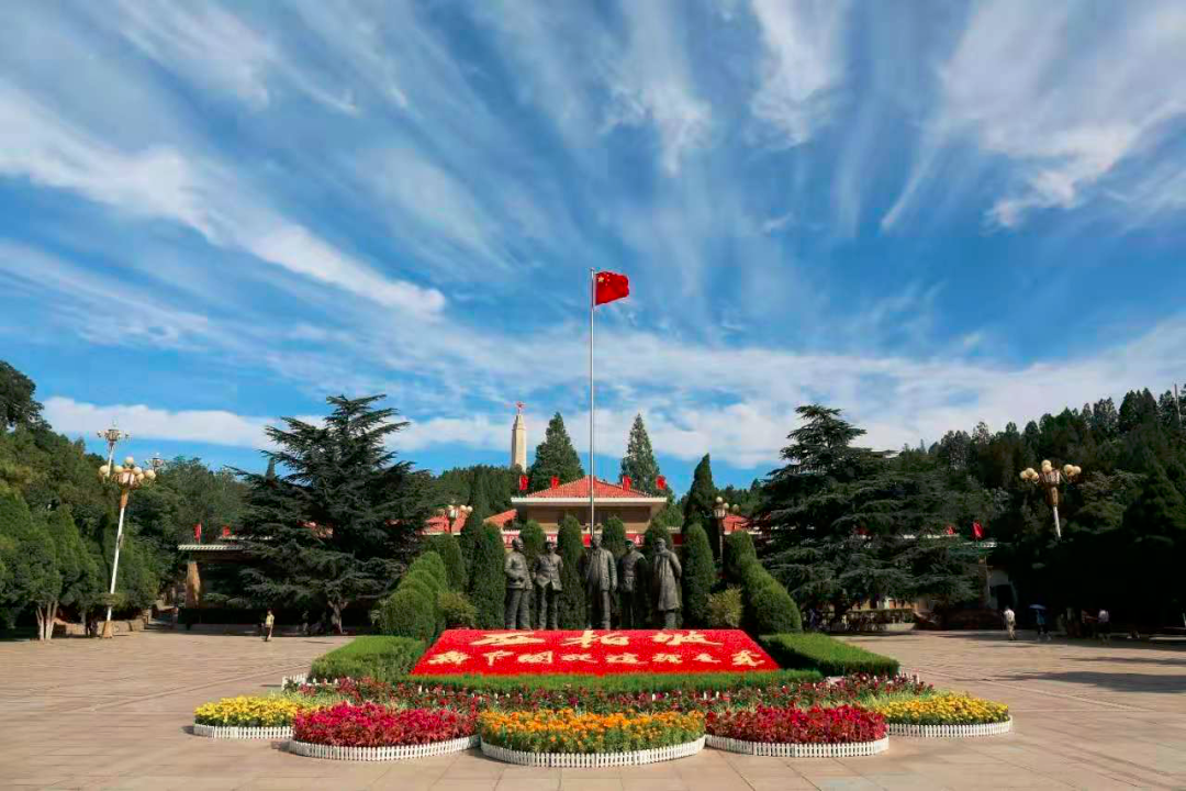 图片8.png