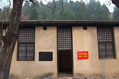 xbp33131.jpg