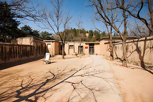 基层党建培训精准滴灌：西柏坡培训中心实践与思考